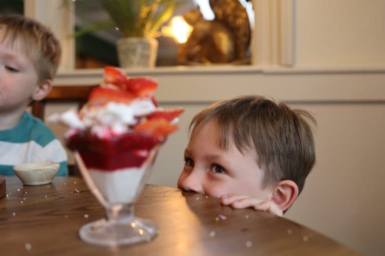 Cover Image for Your Kids Eat Free This Half Term at The Hare