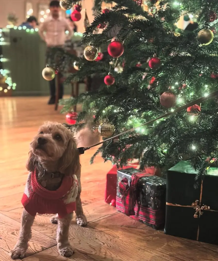 Cover Image for Your Cosy Christmas Escape at Heartwood Inns