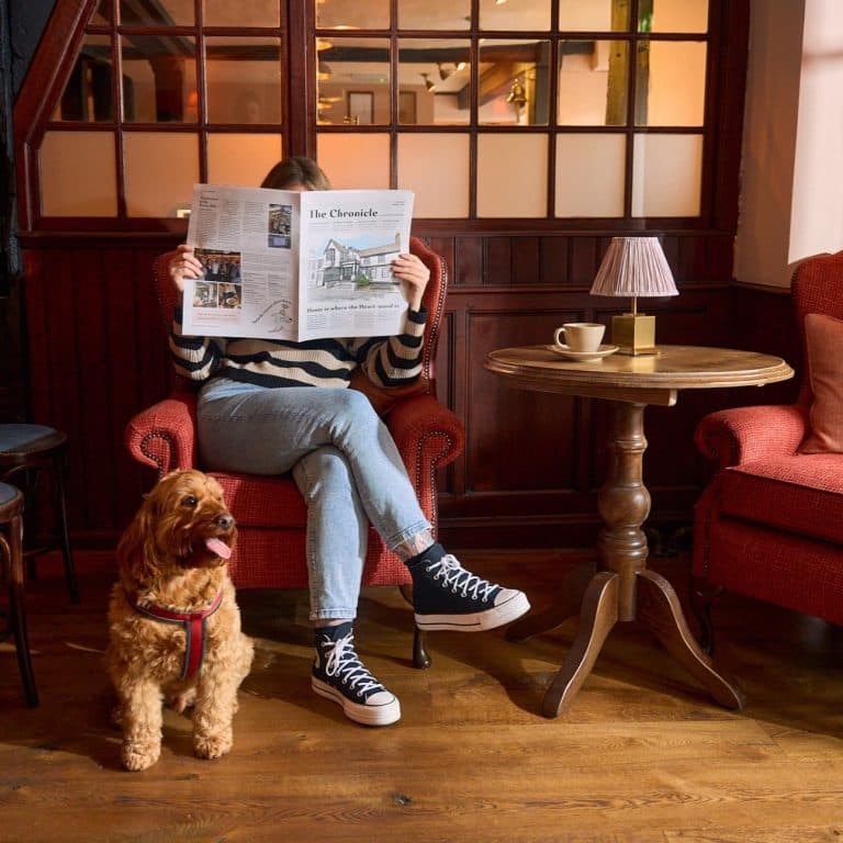 Cover Image for Celebrating National Pet Month with us at The Hare